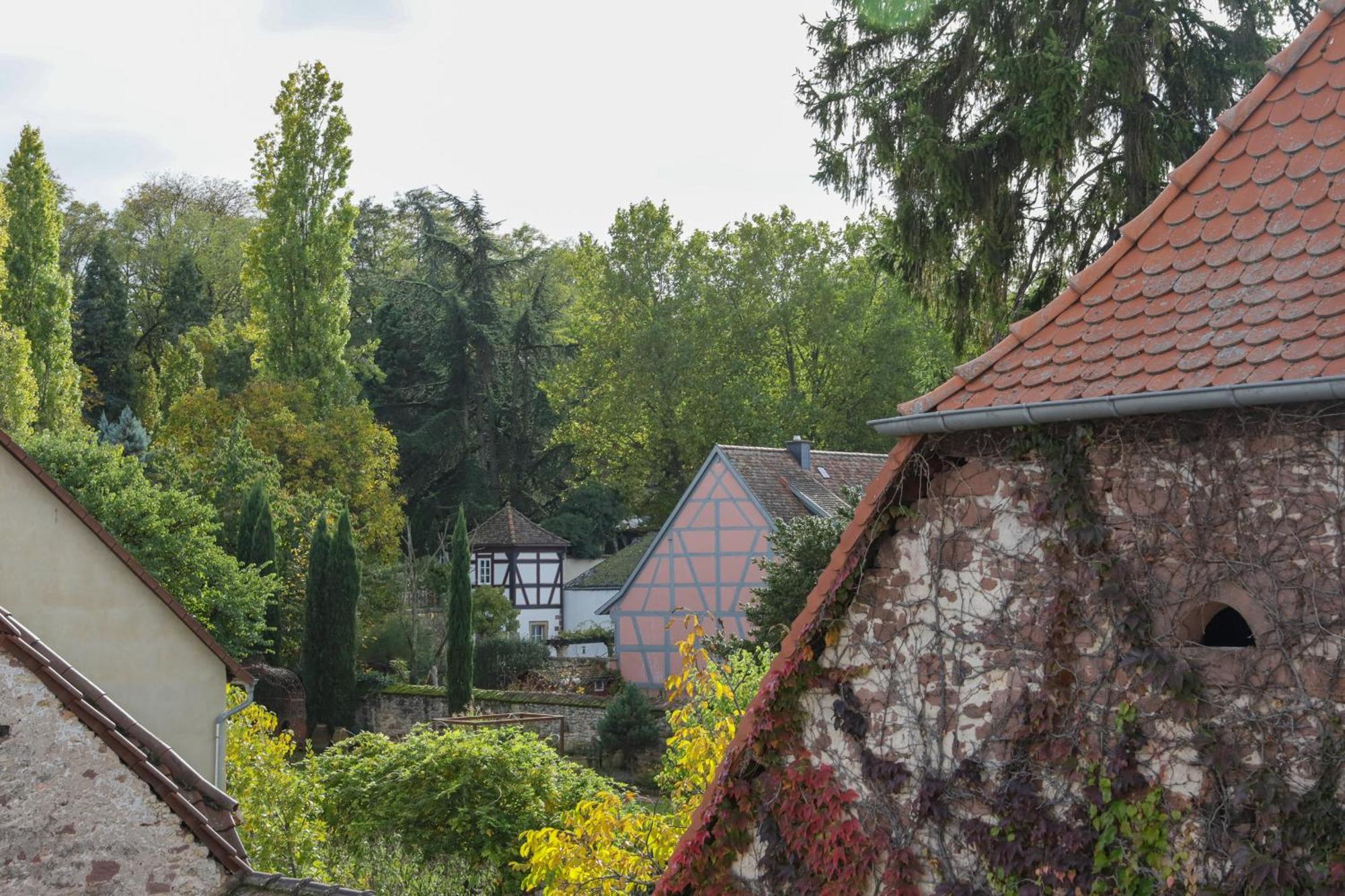 Boutique-Hotel Im Sternenhof Grosskarlbach Exteriér fotografie